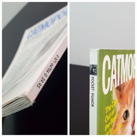 CATMOPOLITAN Magazine Humorous Tribute to Cats by Ilene Hochberg 1987 - Picture 11 of 16